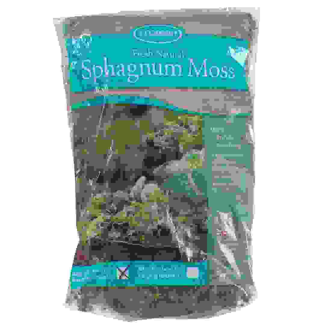Buy Tildenet Sphagnum Moss Bag, MB2 Online in Dubai & the UAE|ACE