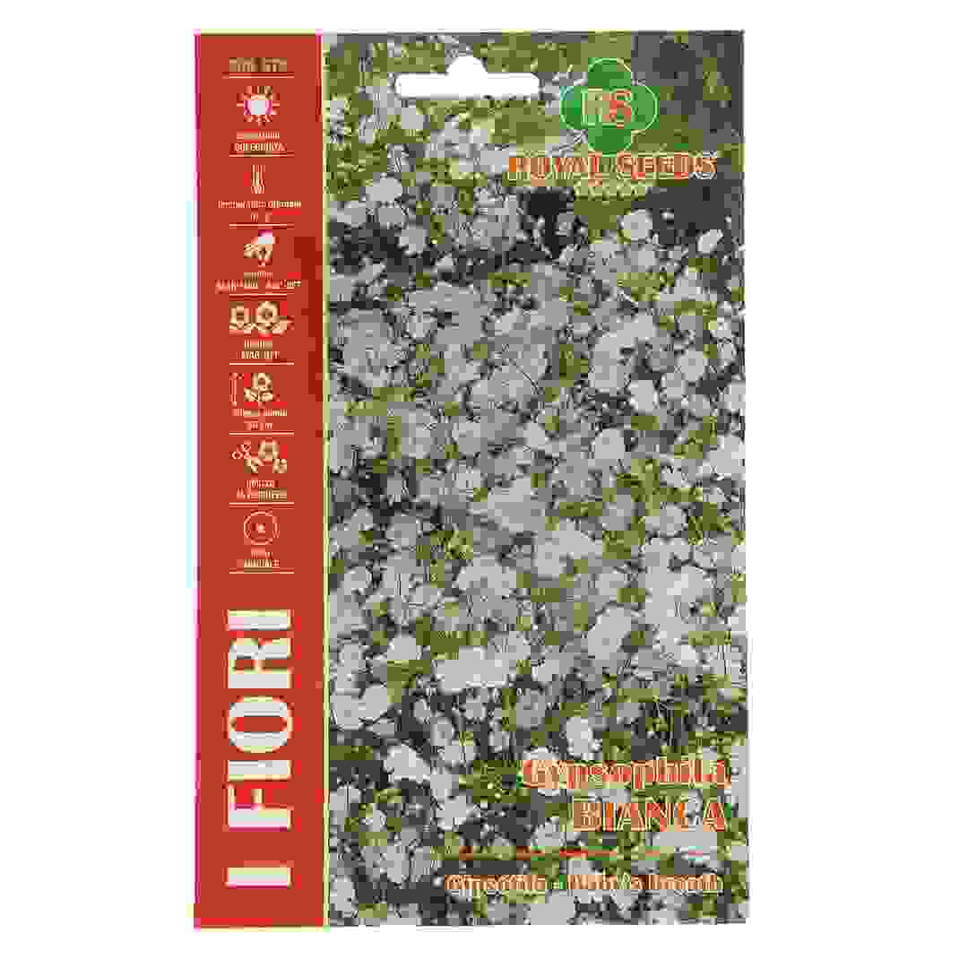 Royal Seeds Baby's Breath Seed Pack