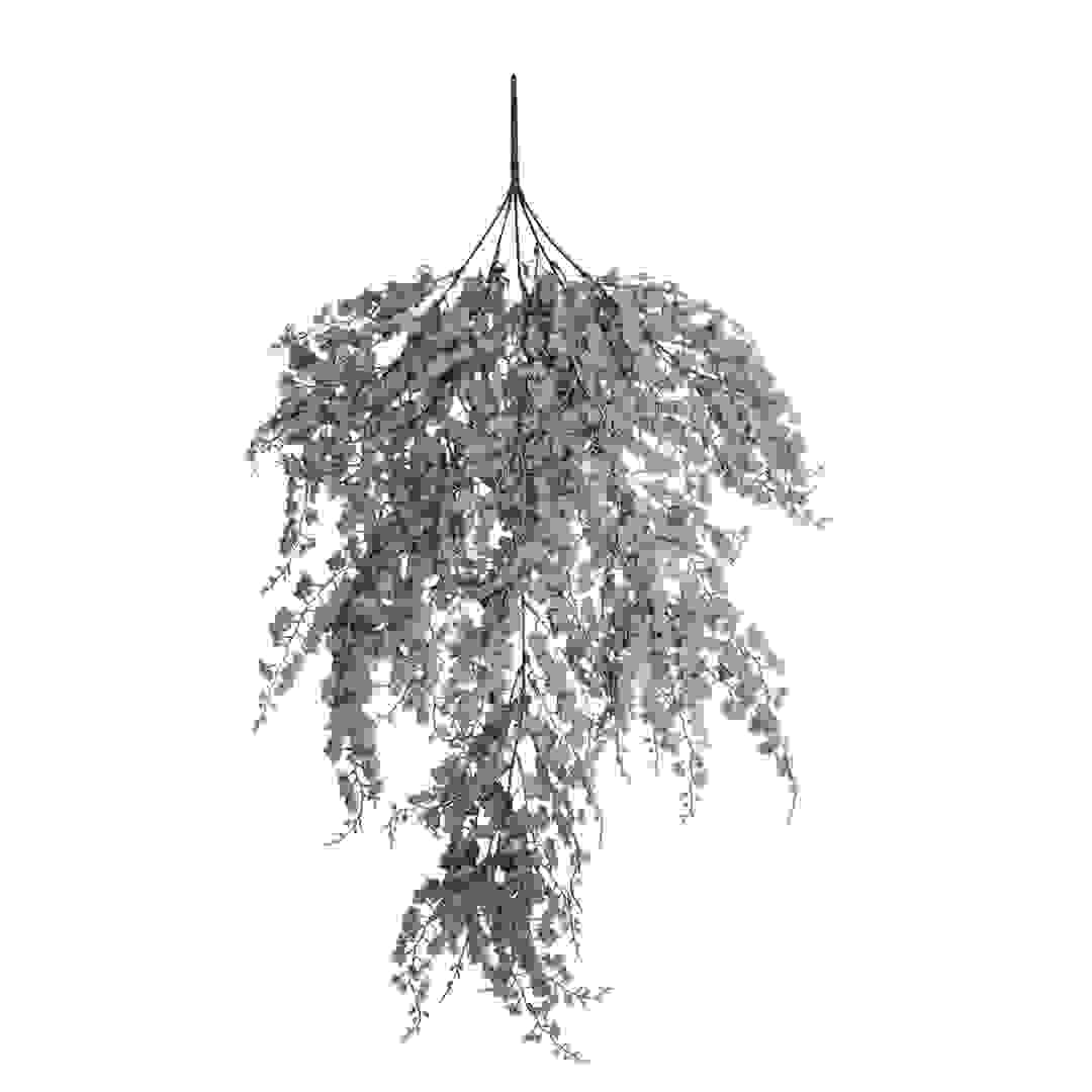 Vinifera Grape Hanging Plant (85 cm, Purple)