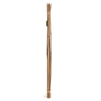 Tildenet Heavy Duty Bamboo Garden Canes Pack (120 cm, 15 Pc.)