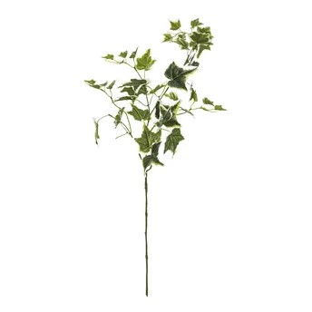 نبات اللبلاب العاجي الديكوري بولي إيثلين أتموسفيرا (30 × 20 × 75.5 سم)
