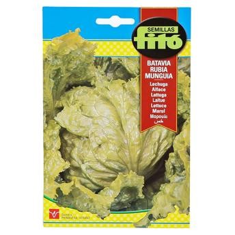 Semillas Fito Lettuce Batavia Rubia Munguia (7 g)