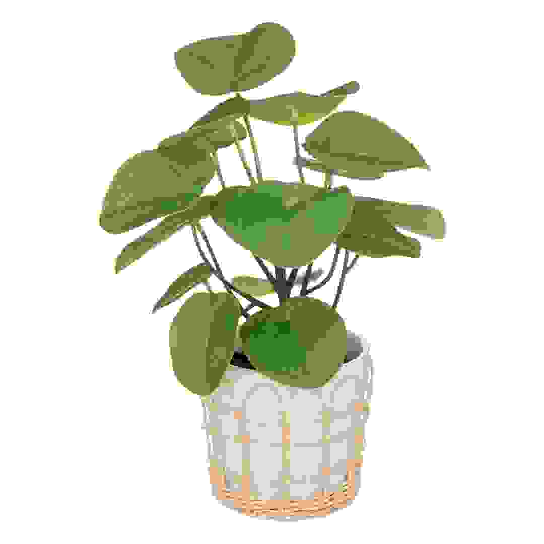 Artificial Plant W/Pot (25 x 34 cm)