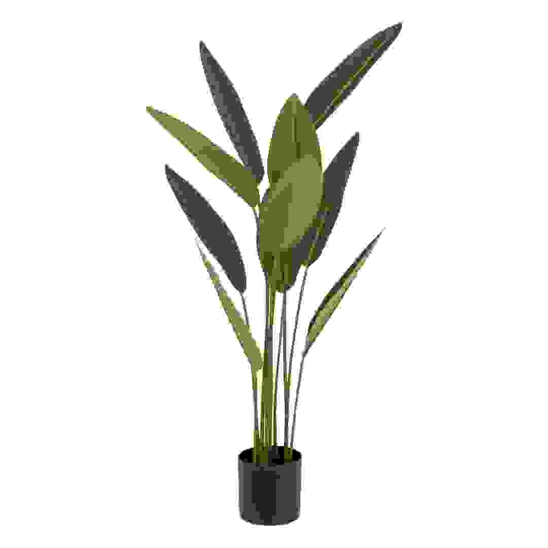 Atmosphera Tropical Boudoir Strelitzia with Plastic Pot (H. 97 cm)