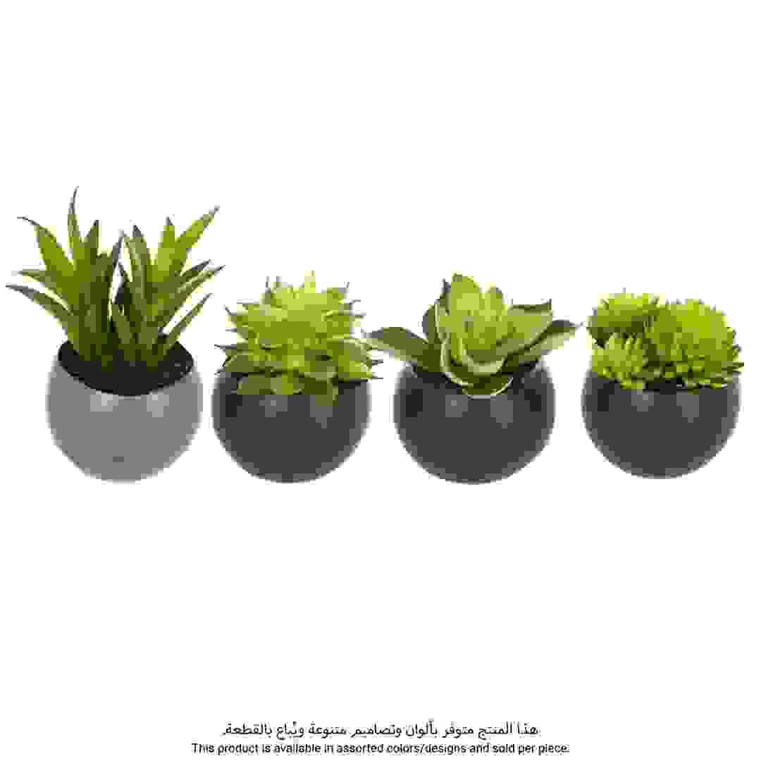 Atmosphera Magnetic Artificial Plant (Assorted Designs, Dia. 6 cm)